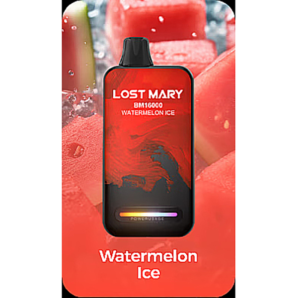 Lost Mary BM16000 Puffs Disposable Vape-Kamrytech